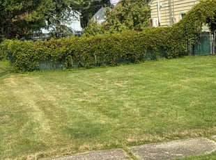 Robert K.'s Lawn Maintenance service result