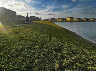 Toi Y.'s Lawn Service service result