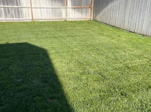David H.'s Lawn Maintenance service result