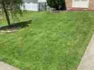 Tina S.'s Lawn Mowing service result