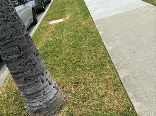 Khoi L.'s Lawn Service service result