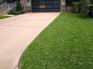 Brae D.'s Lawn Mowing service result