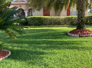 Mike S.'s Lawn Mowing service result