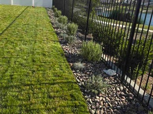 Weeding by Jose Hernandez for Robin C. in Menifee, CA