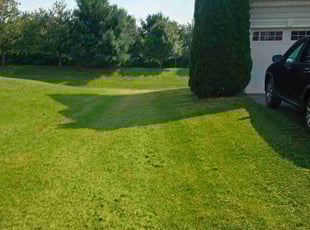 Terry M.'s Yard Cutting service result