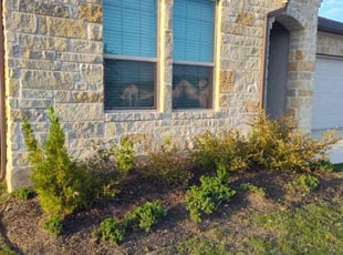 Weeding by Wilmer Guevara for Donna R. in Pflugerville, TX