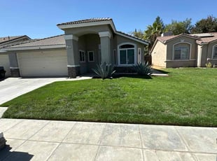 Michael W.'s Lawn Care service result