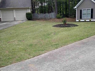 Leaf Removal by Elvin Dobbs for Mia J. in Powder Springs, GA