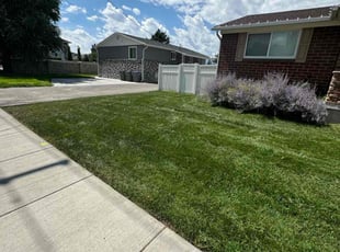 Sophia N.'s Lawn Mowing service result
