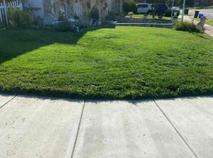 Henrietta R. O.'s Lawn Service service result