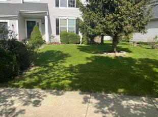 Kristine I.'s Lawn Care service result