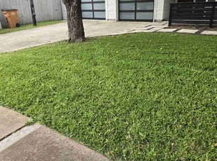 Jim M.'s Lawn Mowing service result