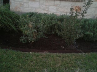 Weeding by Rick Lopez for Cheri M. in San Antonio, TX
