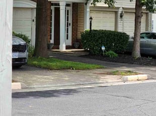 Bush Trimming by Mark Burke for Linda G. in Bristow, VA