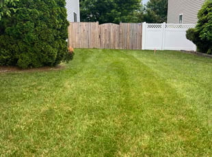 Kellie J.'s Lawn Service service result