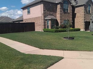 Rolla P.'s Grass Cutting service result