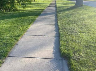 Darlene S.'s Lawn Service service result