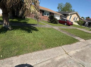 Bendu J.'s Yard Cutting service result