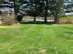 Susan B.'s Lawn Service service result