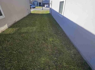 Kylie M.'s Lawn Service service result
