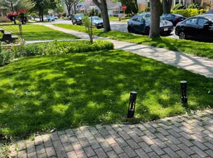 Ken D.'s Lawn Mowing Service service result