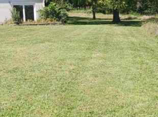 Brenda S.'s Lawn Care service result