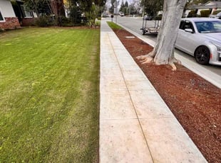Phayouderson B.'s Yard Cutting service result