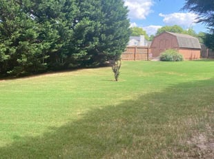 Mark L.'s Lawn Care service result