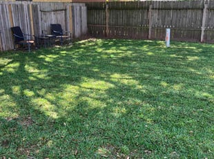 Lorraine A.'s Lawn Service service result