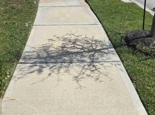 Brett S.'s Lawn Mowing service result
