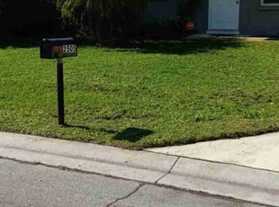 Keisha T.'s Lawn Service service result