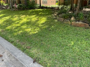 Kelly C.'s Yard Cutting service result