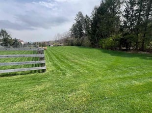Kathleen S.'s Lawn Mowing service result
