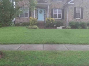 Brittany C.'s Lawn Mowing service result