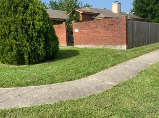 Walter P.'s Lawn Mowing Service service result