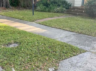 Jeremy R.'s Lawn Mowing Service service result