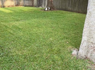 Sandi G.'s Lawn Service service result