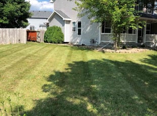 Cheryl G.'s Yard Cutting service result
