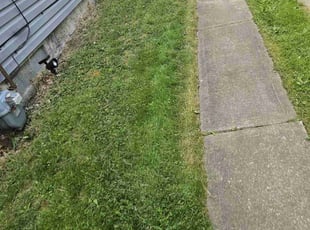 Stephen B.'s Yard Cutting service result