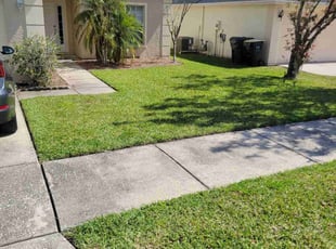 Steven Z.'s Lawn Maintenance service result