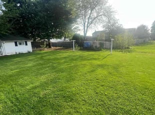 Teisha M.'s Lawn Service service result