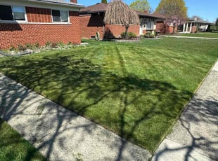 Jamie K.'s Yard Cutting service result