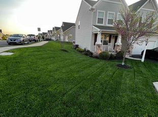 Donna B.'s Lawn Care service result