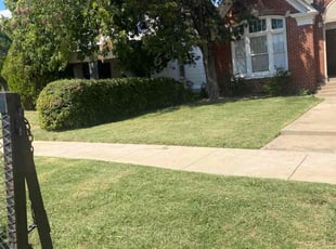 Dorlian D.'s Lawn Maintenance service result
