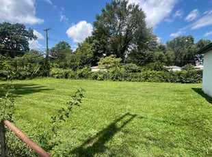 Azmira L.'s Lawn Care service result