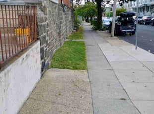 Marco R.'s Lawn Mowing service result