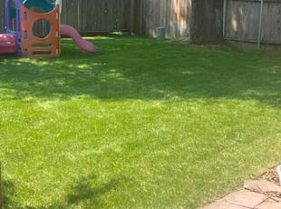 John L.'s Lawn Mowing service result