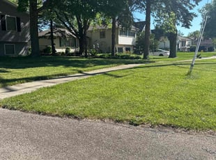 Nancy R.'s Lawn Mowing Service service result