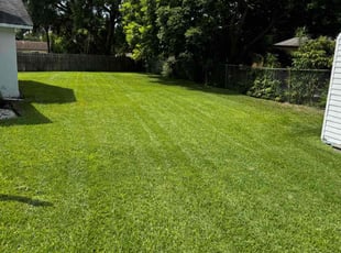 Amber L.'s Lawn Mowing Service service result