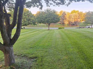 Bethany R.'s Lawn Mowing Service service result